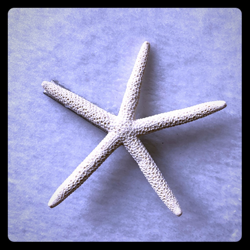 Starfish hair clip